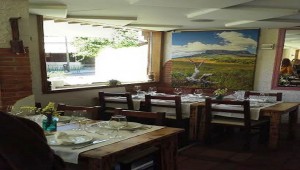 restaurante_antojo_araguaney_te_veo_en_madrid_venezolano